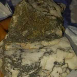 Profile photo of ORE